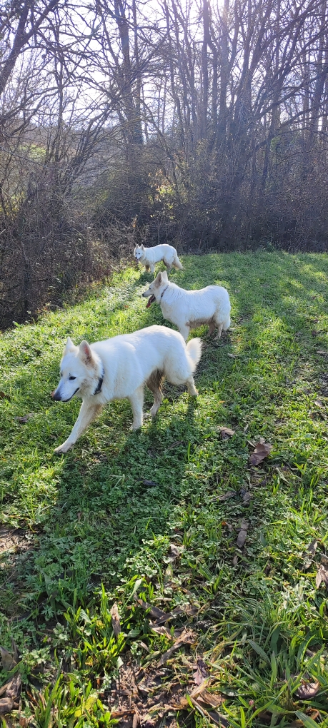 Joyeuse promenade hivernale, en toute liberté.
